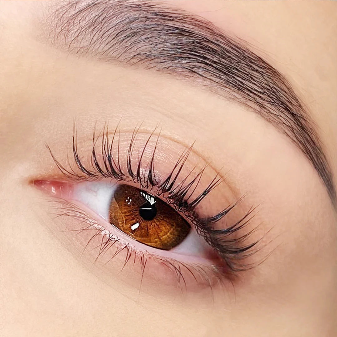 LASH & BROW TINT DARK BROWN